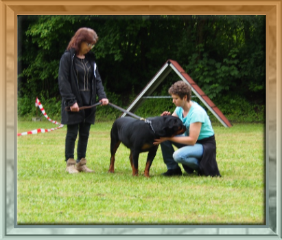 rottweilerwelpen Nena von La Suerte