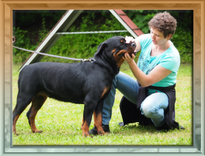 rottweilerwelpen Nena von La Suerte